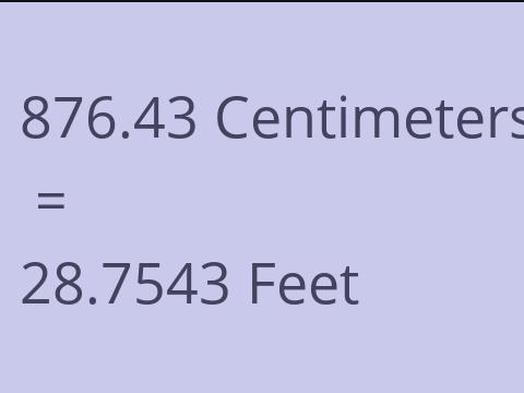 876.43 CM TO FEET