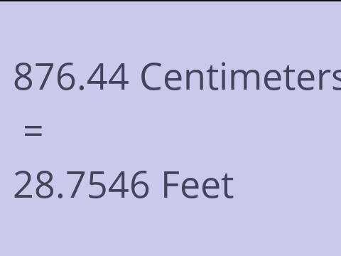 876.44 CM TO FEET