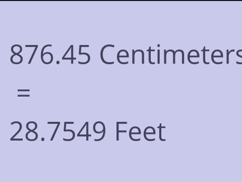 876.45 CM TO FEET