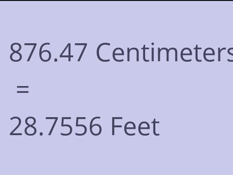 876.47 CM TO FEET