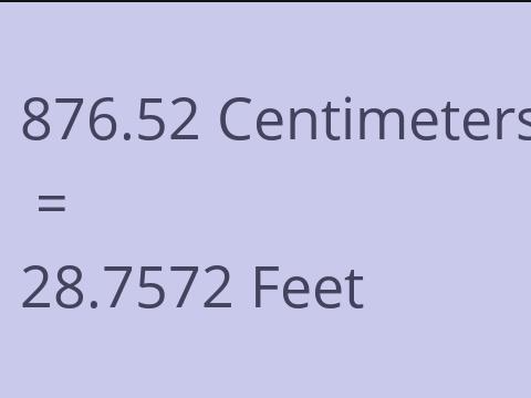 876.52 CM TO FEET