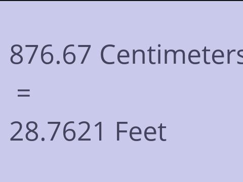 876.67 CM TO FEET