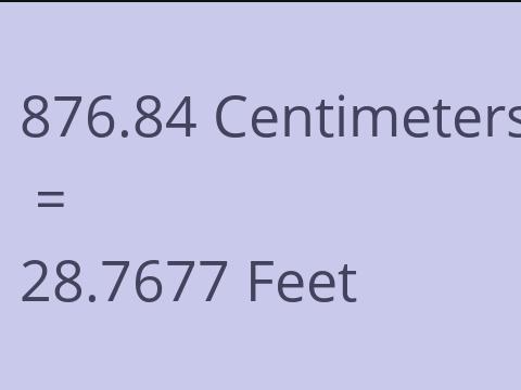 876.84 CM TO FEET