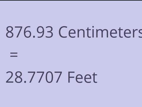 876.93 CM TO FEET