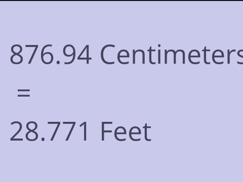 876.94 CM TO FEET