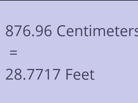 876.96 CM TO FEET