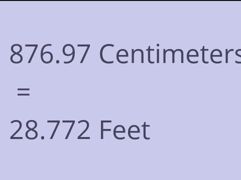 876.97 CM TO FEET