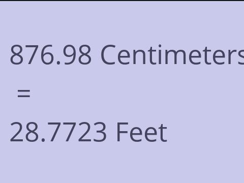 876.98 CM TO FEET