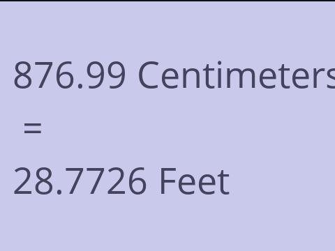 876.99 CM TO FEET