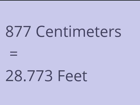 877 CM TO FEET