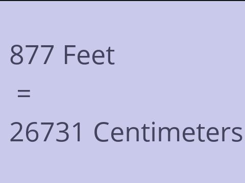 877 FEET TO CM