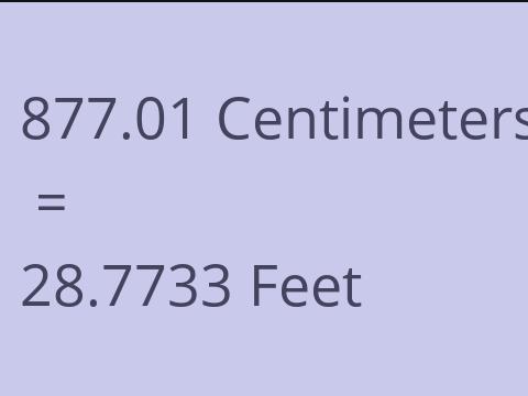 877.01 CM TO FEET