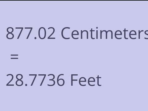 877.02 CM TO FEET