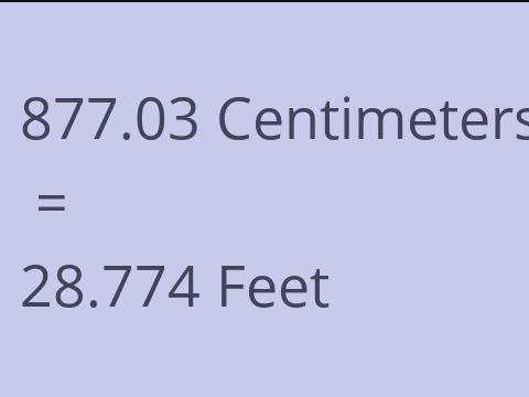 877.03 CM TO FEET