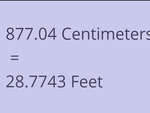 877.04 CM TO FEET