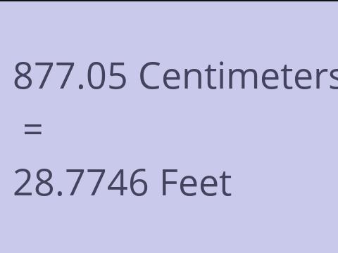 877.05 CM TO FEET