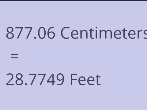 877.06 CM TO FEET