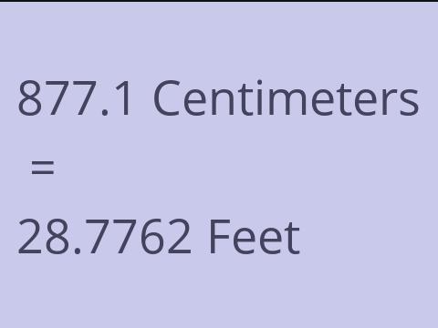 877.1 CM TO FEET