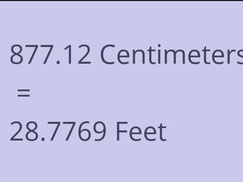 877.12 CM TO FEET