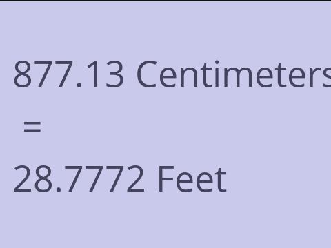 877.13 CM TO FEET