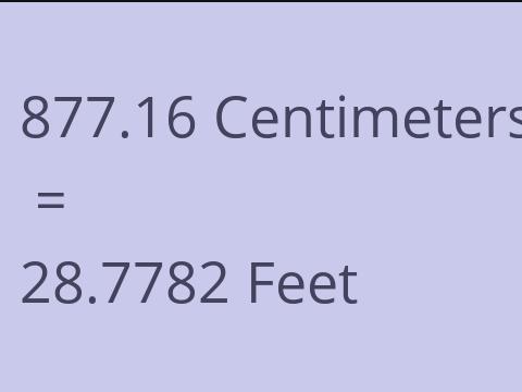 877.16 CM TO FEET