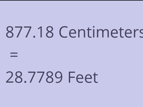 877.18 CM TO FEET