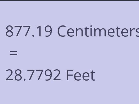 877.19 CM TO FEET