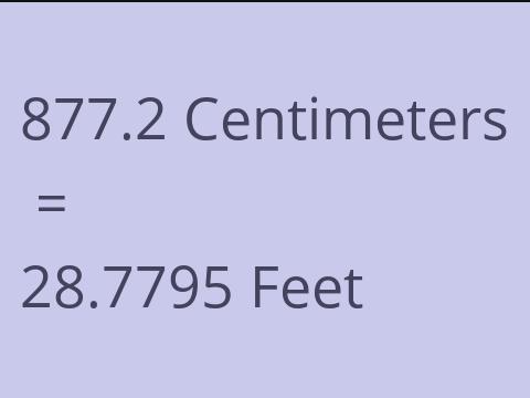 877.2 CM TO FEET