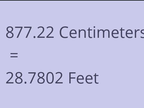 877.22 CM TO FEET