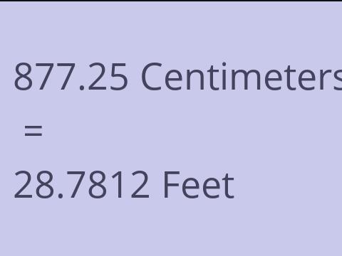 877.25 CM TO FEET