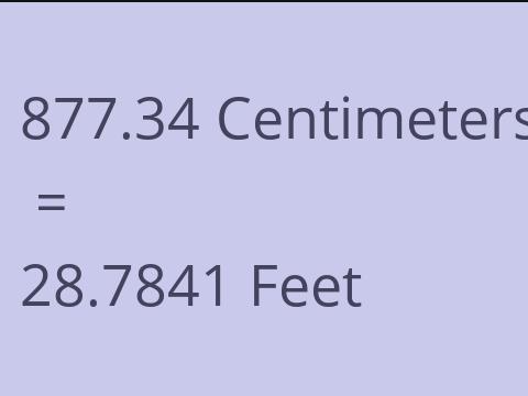 877.34 CM TO FEET