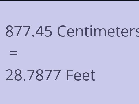 877.45 CM TO FEET