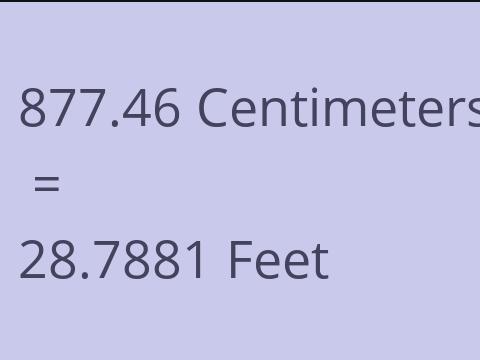 877.46 CM TO FEET