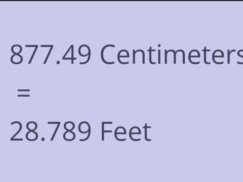 877.49 CM TO FEET