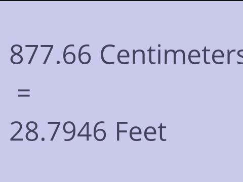 877.66 CM TO FEET