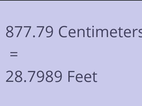 877.79 CM TO FEET