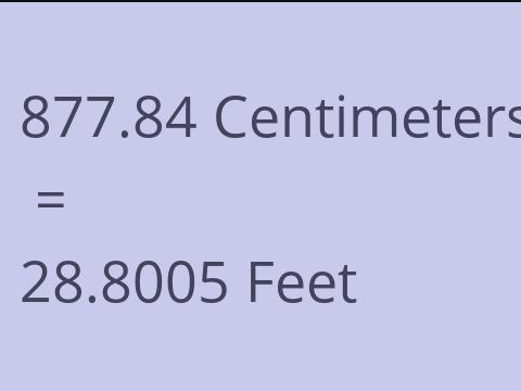 877.84 CM TO FEET