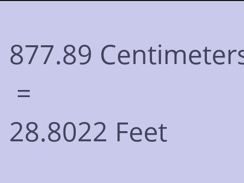 877.89 CM TO FEET