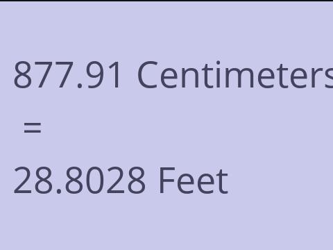 877.91 CM TO FEET