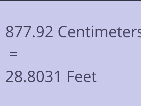 877.92 CM TO FEET