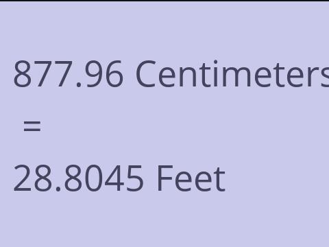 877.96 CM TO FEET