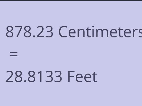 878.23 CM TO FEET