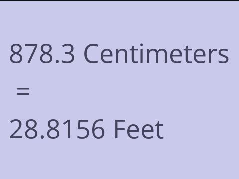 878.3 CM TO FEET