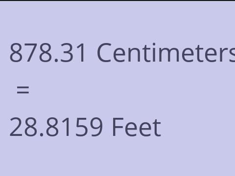 878.31 CM TO FEET