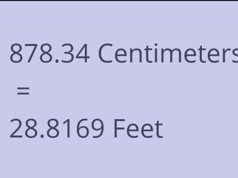 878.34 CM TO FEET