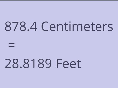 878.4 CM TO FEET