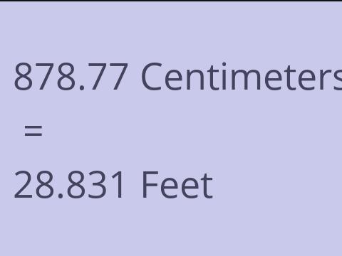 878.77 CM TO FEET