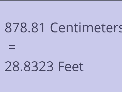 878.81 CM TO FEET