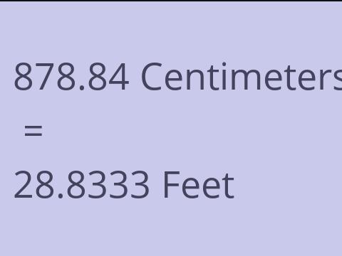 878.84 CM TO FEET