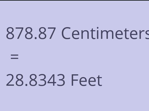 878.87 CM TO FEET